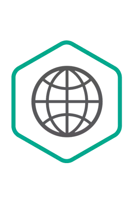 Kaspersky Security для интернет-шлюзов